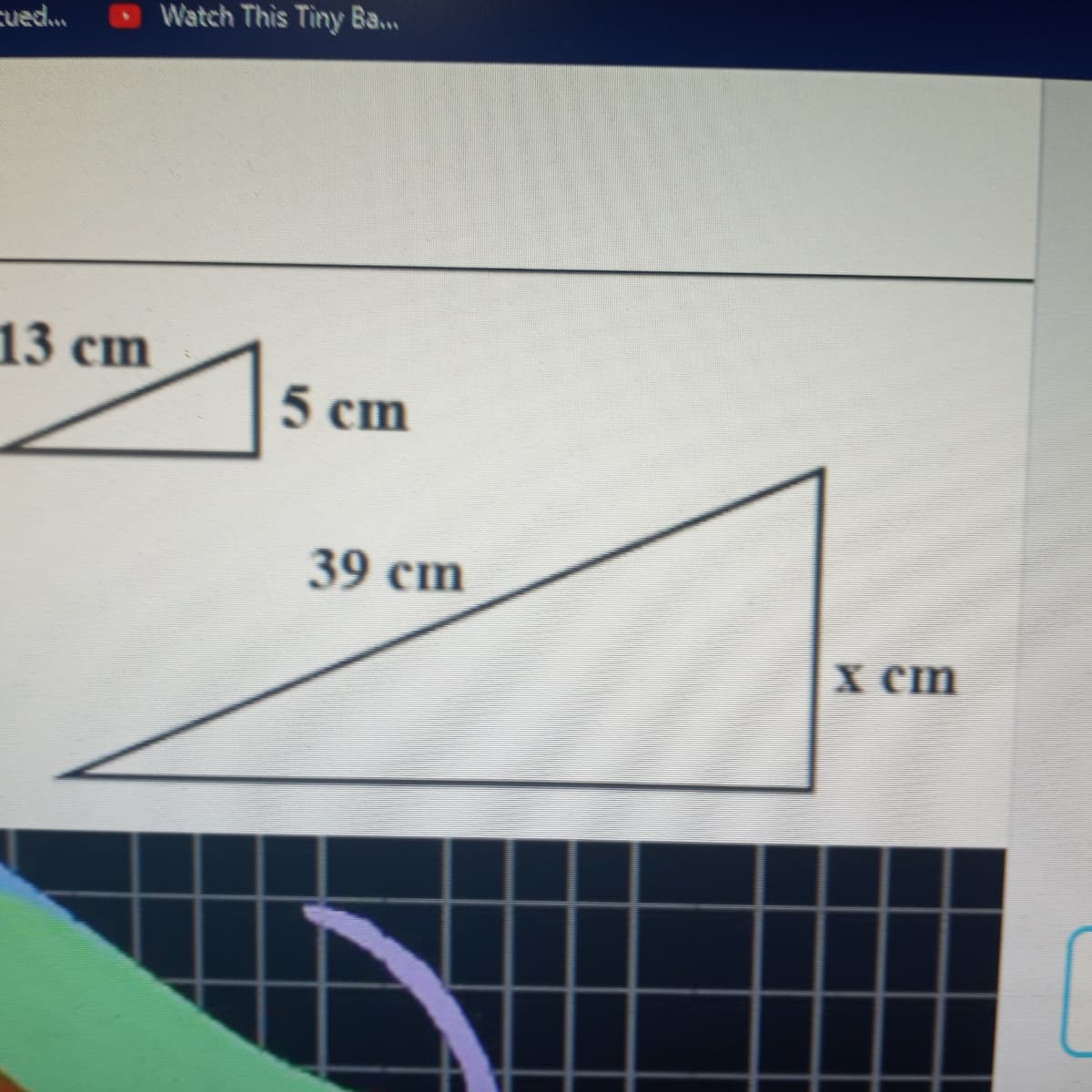 cued..
Watch This Tiny Ba...
13 cm
5 cm
39 cm
х ст
