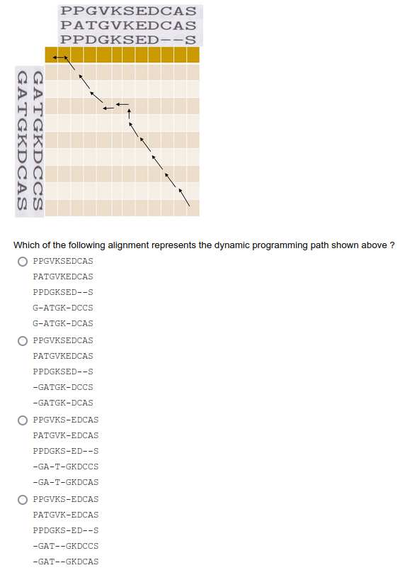 GATGKDCAS
GATGKDCCS
SS
PPGVKSEDCAS
PATGVKEDCAS
PPDGKSED--S
Which of the following alignment represents the dynamic programming path shown above?
OPPGVKSEDCAS
PATGVKEDCAS
PPDGKSED--S
G-ATGK-DCCS
G-ATGK-DCAS
PPGVKSEDCAS
PATGVKEDCAS
PPDGKSED--S
-GATGK-DCCS
-GATGK-DCAS
PPGVKS-EDCAS
PATGVK-EDCAS
PPDGKS-ED--S
-GA-T-GKDCCS
-GA-T-GKDCAS
PPGVKS-EDCAS
PATGVK-EDCAS
PPDGKS-ED--S
-GAT--GKDCCS
-GAT--GKDCAS