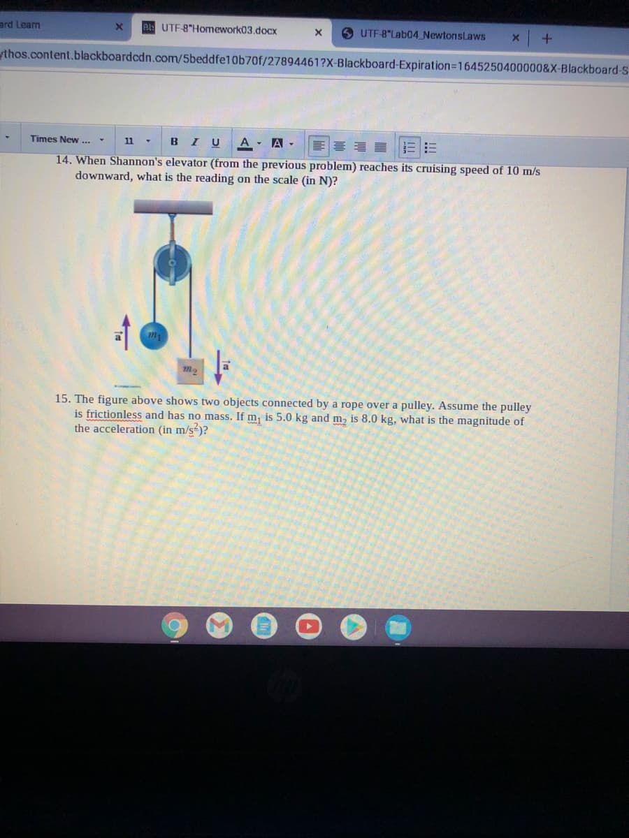 ard Learn
BUTF-8"Homework03.docx
6 UTF-8"Lab04 NewtonsLaws
ythos.content.blackboardcdn.com/5beddfe10b70f/27894461?X-Blackboard-Expiration=D1645250400000&X-Blackboard-S
BIUA A -
Times New ...
11 -
14. When Shannon's elevator (from the previous problem) reaches its cruising speed of 10 m/s
downward, what is the reading on the scale (in N)?
m
15. The figure above shows two objects connected by a rope over a pulley. Assume the pulley
is frictionless and has no mass. If m, is 5.0 kg and m, is 8.0 kg, what is the magnitude of
the acceleration (in m/s-)?
