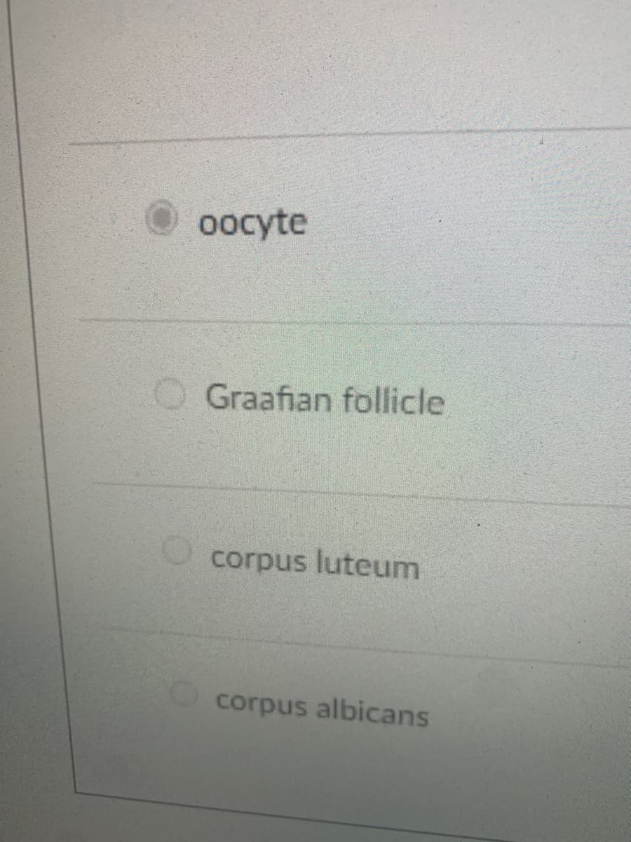 oocyte
Graafian follicle
corpus luteum
corpus albicans
