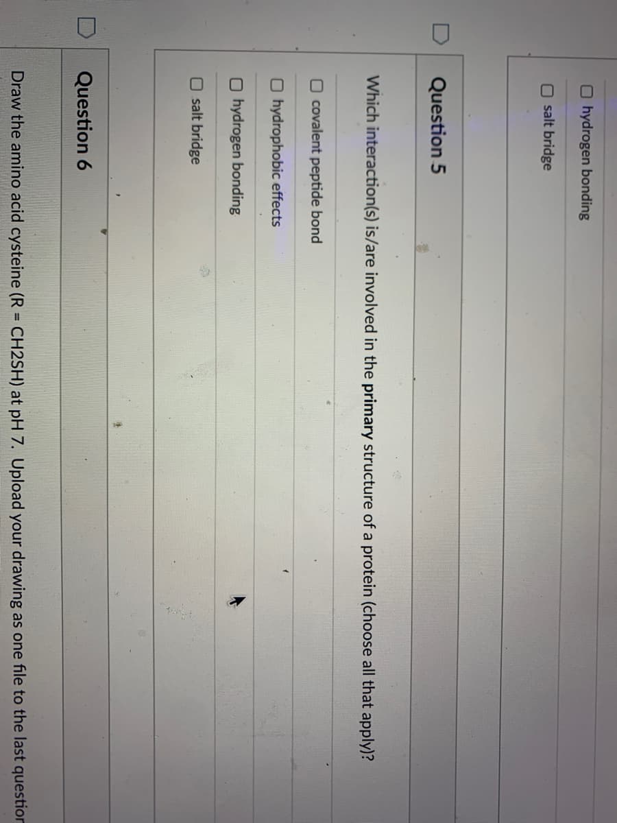 O hydrogen bonding
O salt bridge
Question 5
Which interaction(s) is/are involved in the primary structure of a protein (choose all that apply)?
O covalent peptide bond
O hydrophobic effects
O hydrogen bonding
O salt bridge
Question 6
Draw the amino acid cysteine (R = CH2SH) at pH 7. Upload your drawing as one file to the last question
%3D
