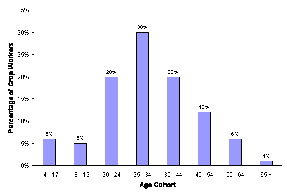 35%
30%
30%
25%
20%
20%
20%
15%
12%
10%
6%
6%
5%
5%
1%
0%
14 - 17
18 - 19
20- 24
25-34
35-44
45 -54
55 - 64
65 +
Age Cohort
Percentage of Grop Workers

