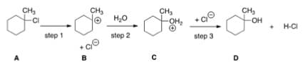 CH,
CH,
CH3
CH,
H20
OH
H-CI
step 1
step 2
step 3
A
в
с
D
