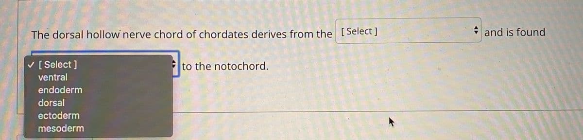 The dorsal hollow nerve chord of chordates derives from the [Select ]
* and is found
v [ Select ]
Fto the notochord.
ventral
endoderm
dorsal
ectoderm
mesoderm
