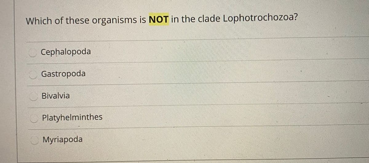 Which of these organisms is NOT in the clade Lophotrochozoa?
Cephalopoda
Gastropoda
Bivalvia
C Platyhelminthes
O Myriapoda
