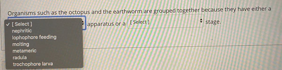 Organisms such as the octopus and the earthworm are grouped together because they have either a
* stage.
V [ Select ]
nephritic
lophophore feeding
molting
apparatus or a [Select ]
metameric
radula
trochophore larva
