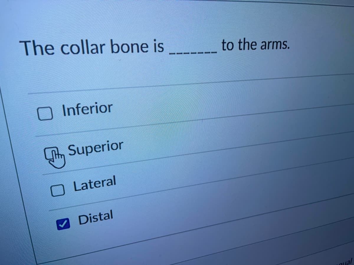 The collar bone is
Inferior
Superior
Lateral
Distal
to the arms.