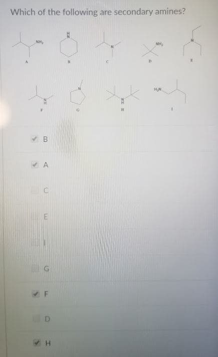 Which of the following are secondary amines?
NH,
NH
D
E.
