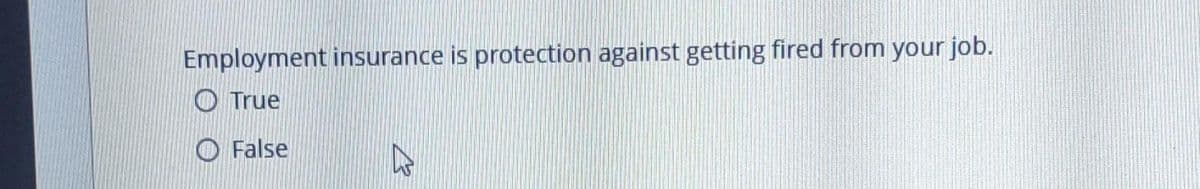 Employment insurance is protection against getting fired from your job.
True
False
D