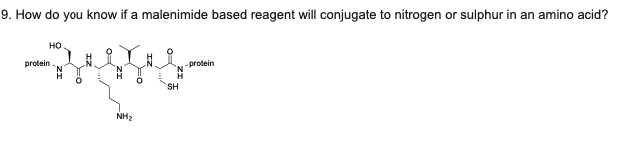 9. How do you know if a malenimide based reagent will conjugate to nitrogen or sulphur in an amino acid?
но
protein
-protein
SH
NH2
