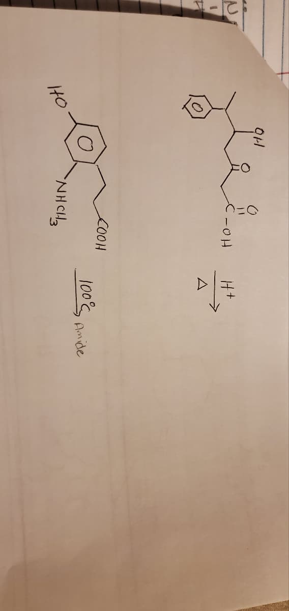 COOH
100 Amide
tO
NHCH
