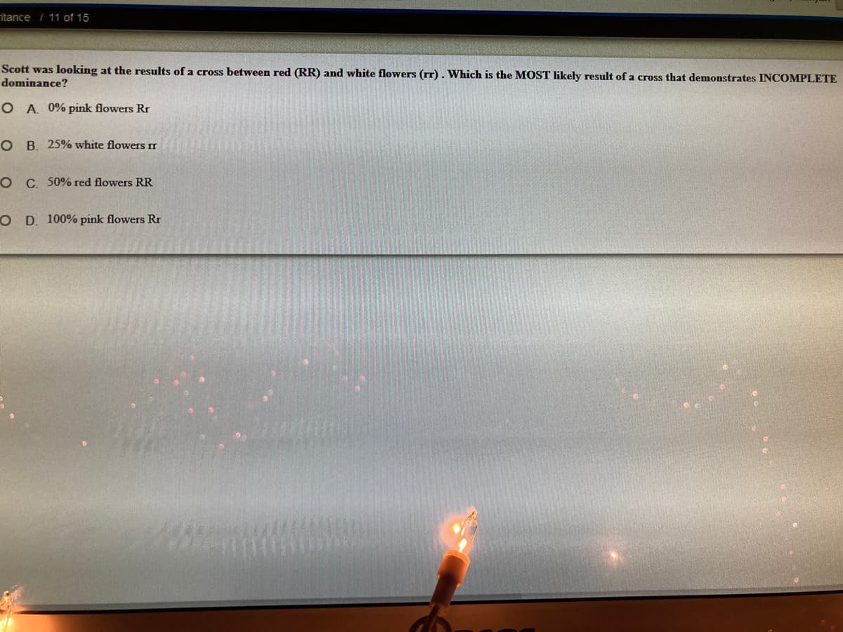 itance /11 of 15
Scott was looking at the results of a cross between red (RR) and white flowers (rr). Which is the MOST likely result of a cross that demonstrates INCOMPLETE
dominance?
O A. 0% pink flowers Rr
OB. 25% white flowers rr
O C. 50% red flowers RR
O D. 100% pink flowers Rr
