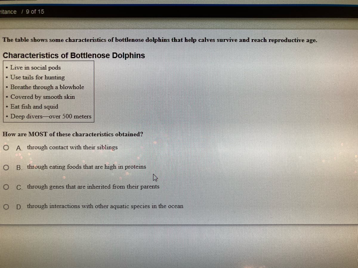 ritance / 9 of 15
The table shows some characteristics of bottlenose dolphins that help calves survive and reach reproductive age.
Characteristics of Bottlenose Dolphins
• Live in social pods
• Use tails for hunting
• Breathe through a blowhole
• Covered by smooth skin
• Eat fish and squid
• Deep divers over 500 meters
How are MOST of these characteristics obtained?
O A. through contact with their siblings
O B. through eating foods that are high in proteins
O C through genes that are inherited from their parents
D. through interactions with other aquatic species in the ocean
