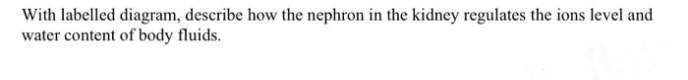 With labelled diagram, describe how the nephron in the kidney regulates the ions level and
water content of body fluids.