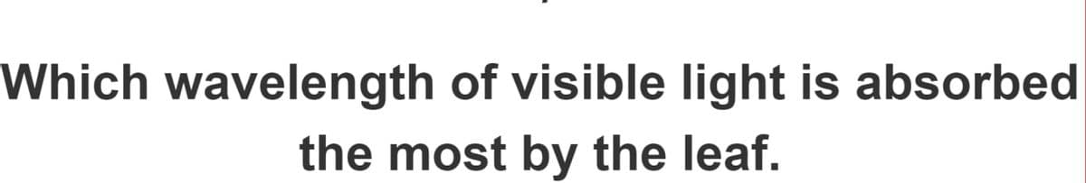 Which wavelength of visible light is absorbed
the most by the leaf.