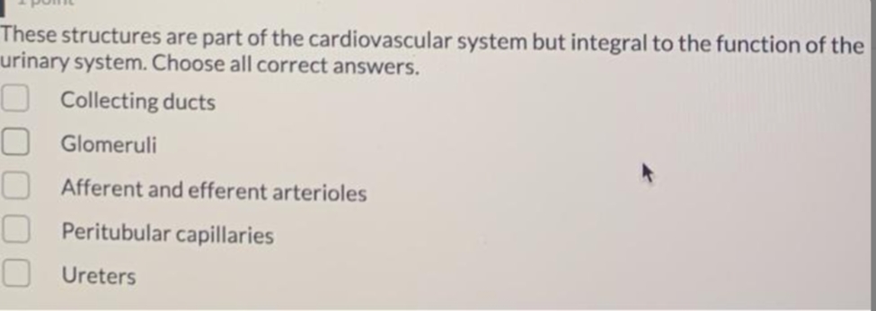These structures are part of the cardiovascular system but integral to the function of the
urinary system. Choose all correct answers.
O Collecting ducts
O Glomeruli
O Afferent and efferent arterioles
Peritubular capillaries
Ureters
