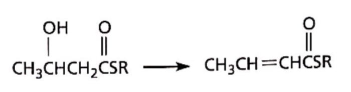 OH
|
CH3CHCH,CSR
||
CH3CH=CHCSR
