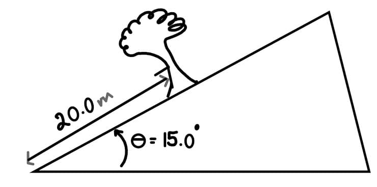 20.0 m
Jo-15.0°
