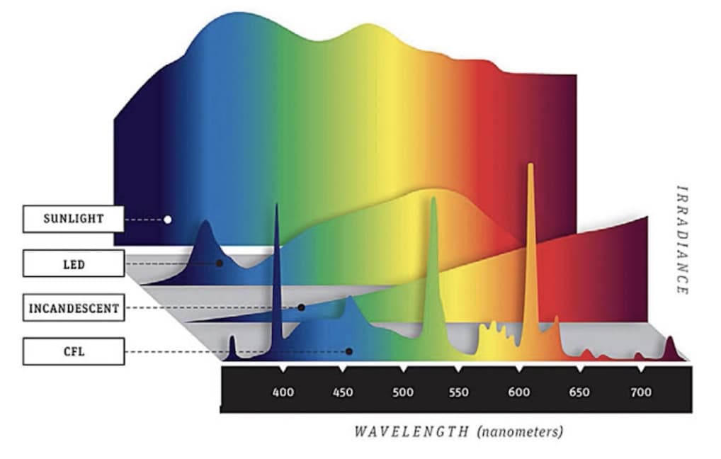 SUNLIGHT
LED
INCANDESCENT
CFL
400
450
500
550
600
650
700
WAVELENGTH (nanometers)
IRRADIANCE
