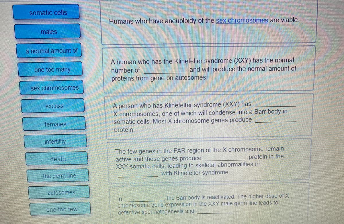 somatic cells
males
a normal amount of
one too many
sex chromosomes
excess
females
infertility
death
the germ line
autosomes
one too few
Humans who have aneuploidy of the sex chromosomes are viable.
A human who has the Klinefelter syndrome (XXY) has the normal
number of
and will produce the normal amount of
proteins from gene on autosomes.
A person who has Klinefelter syndrome (XXY) has
X chromosomes, one of which will condense into a Barr body in
somatic cells. Most X chromosome genes produce
protein.
The few genes in the PAR region of the X chromosome remain
active and those genes produce
XXY somatic cells, leading to skeletal abnormalities in
with Klinefelter syndrome.
protein in the
In
the Barr body is reactivated. The higher dose of X
chromosome gene expression in the XXY male germ line leads to
defective spermatogenesis and