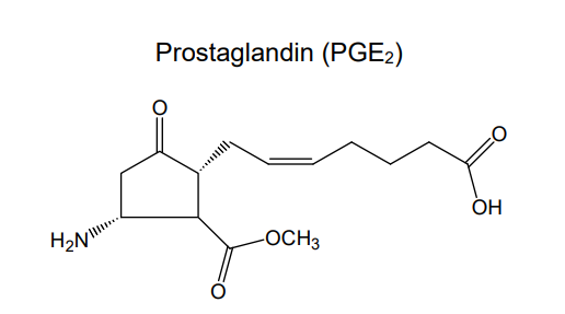 H₂N
Prostaglandin (PGE₂)
-OCH3
OH