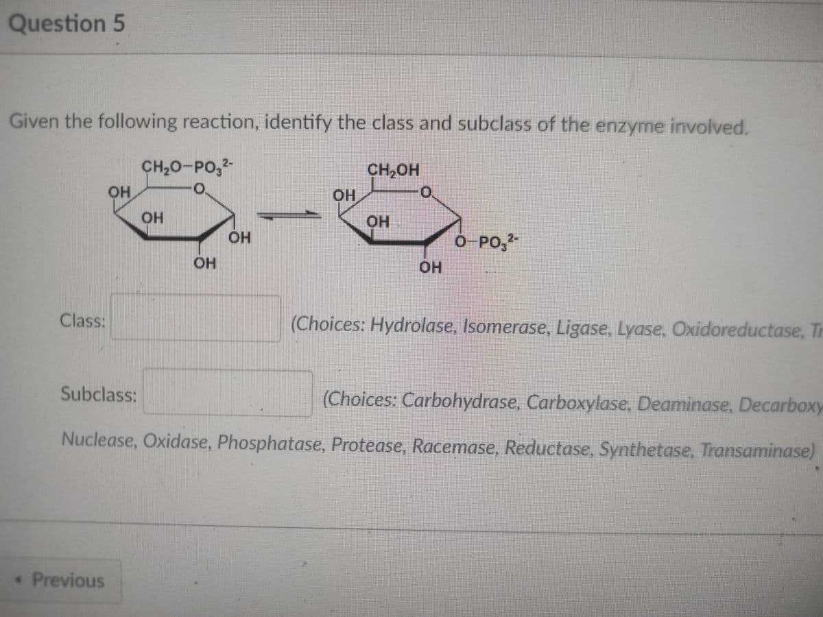 Question 5
Given the following reaction, identify the class and subclass of the enzyme involved.
Class:
OH
Subclass:
. Previous
CH,O-PO2-
O
OH
OH
ОН
CH₂OH
OH
Z
OH
OH
O-PO₂²-
(Choices: Carbohydrase, Carboxylase, Deaminase, Decarboxy
Nuclease, Oxidase, Phosphatase, Protease, Racemase, Reductase, Synthetase, Transaminase)
(Choices: Hydrolase, Isomerase, Ligase, Lyase, Oxidoreductase, Tr