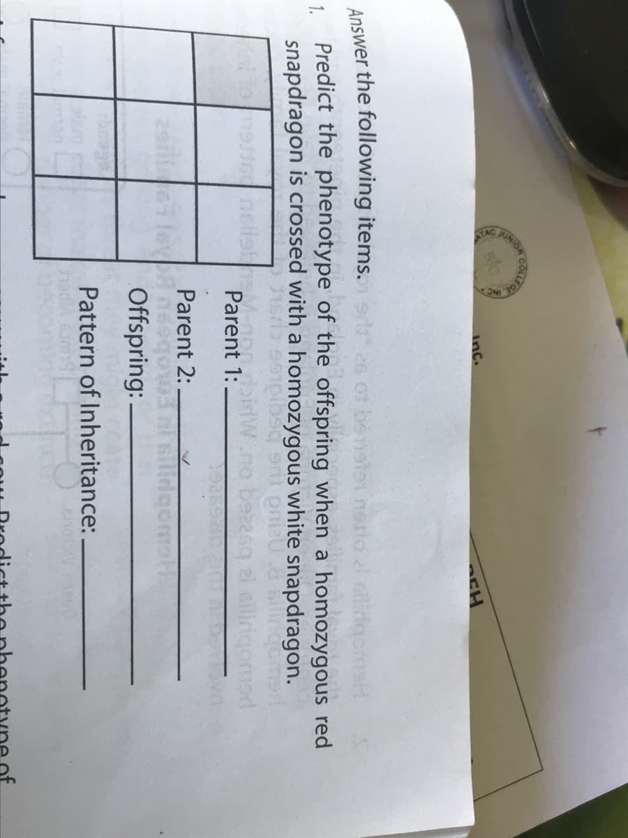 JUNIOR
COLLEGE
inc.
Answer the following items.
ot benste
liigomsH
1.
Predict the phenotype of the offspring when a homozygous red
snapdragon is crossed with a homozygous white snapdragon.
lidaamet
bidw
Parent 1:
bezeso
Parent 2:
Offspring: -
Pattern of Inheritance:
