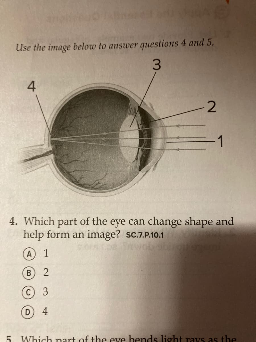 Use the image below to answer questions 4 and 5.
4
2
1
4. Which part of the eye can change shape and
help form an image? sc.7.P.10.1
А 1
C 3
D 4
5. Which nart of the eve bends light ravs as the
3.
