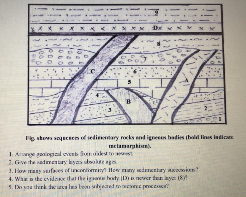 X* * * X x x x X X xX
Dx x x X
x x
1.
B
3
1
Fig. shows sequences of sedimentary rocks and igneous bodies (bold lines indicate
metamorphism).
1. Arrange geological events from oldest to newest.
2. Give the sedimentary layers absolute ages.
3. How many surfaces of unconformity? How many sedimentary successions?
4. What is the evidence that the igneous body (D) is newer than layer (8)?
5. Do you think the area has been subjected to tectonic processes?
000
000
