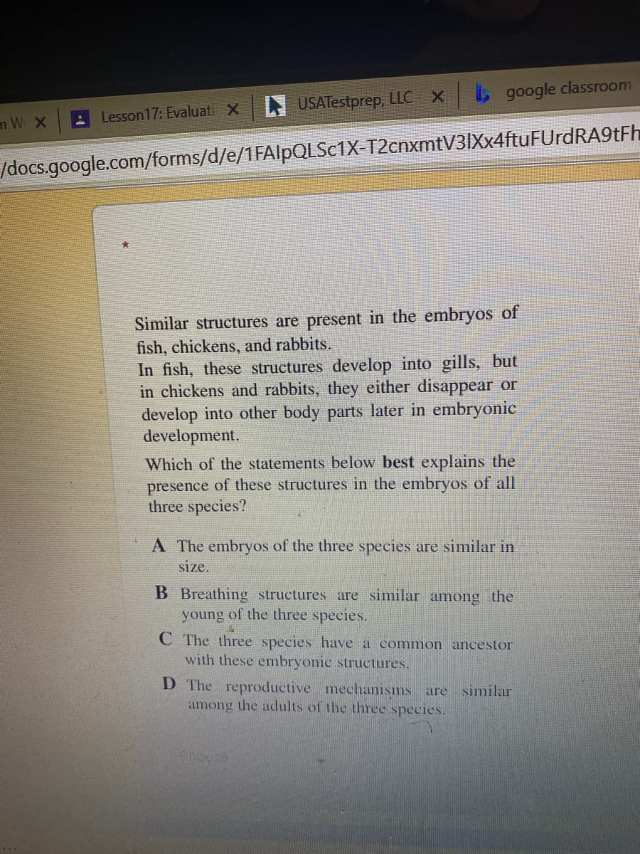 google classroom
L USATestprep, LLC - X
Lesson17: Evaluati X
m W X
/docs.google.com/forms/d/e/1FAIPQLSC1X-T2cnxmtV3IXx4ftuFUrdRA9tFh
Similar structures are present in the embryos of
fish, chickens, and rabbits.
In fish, these structures develop into gills, but
in chickens and rabbits, they either disappear or
develop into other body parts later in embryonic
development.
Which of the statements below best explains the
presence of these structures in the embryos of all
three species?
A The embryos of the three species are similar in
size.
B Breathing structures are similar among the
young of the three species.
C The three species have a common ancestor
with these embryonic structures.
D The reproductive mechanisms are similar
among the adults of the three species.
Choose
