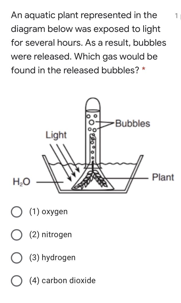 An aquatic plant represented in the
1
diagram below was exposed to light
for several hours. As a result, bubbles
were released. Which gas would be
found in the released bubbles? *
Bubbles
Light
Plant
H,O
O (1) oxygen
O (2) nitrogen
(3) hydrogen
(4) carbon dioxide
