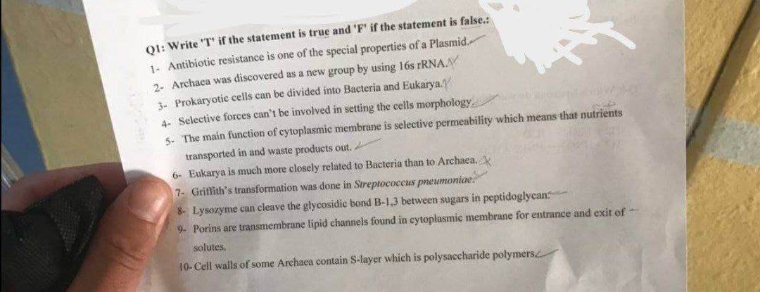 01: Write T' if the statement is true and 'F' if the statement is false.:
1- Antibiotic resistance is one of the special properties of a Plasmid.
2- Archaea was discovered as a new group by using 16s FRNA.A
3- Prokaryotic cells can be divided into Bacteria and Eukarya.
4- Selective forces can't be involved in setting the cells morphology.
5- The main function of cytoplasmic membrane is selective permeability which means that nutrients
transported in and waste products out.
6- Eukarya is much more closely related to Bacteria than to Archaea.
7- Griffith's transformation was done in Streptococcus pneumoniae.
8- Lysozyme can cleave the glycosidic bond B-1,3 between sugars in peptidoglycan
9. Porins are transmembrane lipid channels found in cytoplasmic membrane for entrance and exit of -
solutes,
10-Cell walls of some Archaea contain S-layer which is polysaccharide polymers
