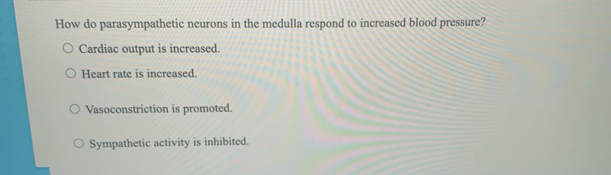 How do parasympathetic neurons in the medulla respond to increased blood pressure?
O Cardiac output is increased.
Heart rate is increased.
O Vasoconstriction is promoted.
O Sympathetic activity is inhibited.
