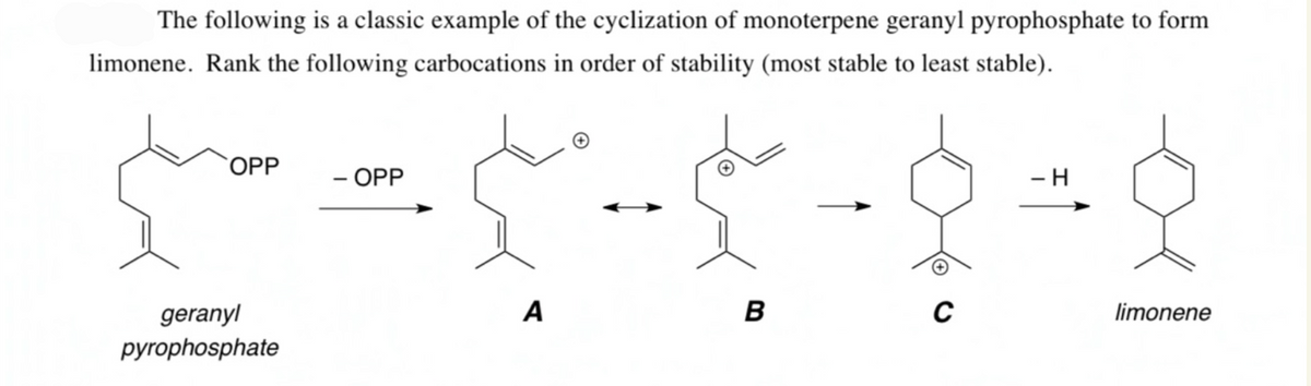 The following is a classic example of the cyclization of monoterpene geranyl pyrophosphate to form
limonene. Rank the following carbocations in order of stability (most stable to least stable).
`OPP
- OPP
- H
A
B
geranyl
pyrophosphate
limonene
