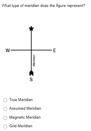 What type of meridian does the figure represent?
W-
S
Meridian
O True Meridian
Assumed Meridian
Magnetic Meridian
Grid Meridian
-E