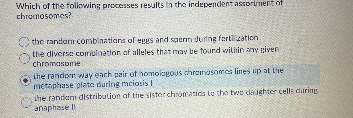 Which of the following processes results in the independent assortment of
chromosomes?
the random combinations of eggs and sperm during fertilization
the diverse combination of alleles that may be found within any given
chromosome
the random way each pair of homologous chromosomes lines up at the
metaphase plate during meiosis I
the random distribution of the sister chromatids to the two daughter cells during
anaphase II
