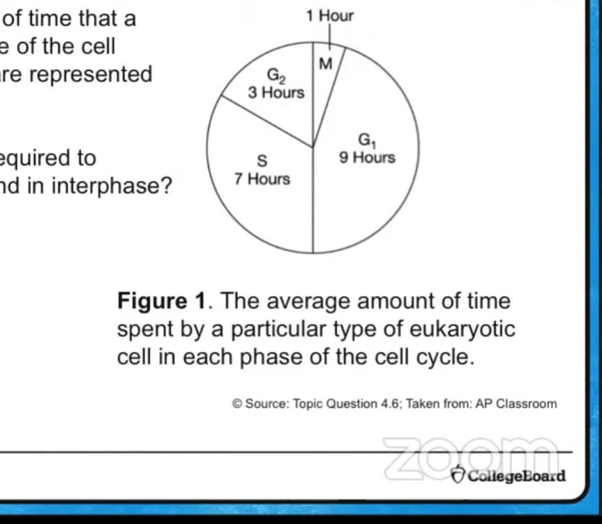 of time that a
1 Hour
e of the cell
re represented
M
G2
3 Hours
G,
9 Hours
equired to
nd in interphase?
S
7 Hours
Figure 1. The average amount of time
spent by a particular type of eukaryotic
cell in each phase of the cell cycle.
© Source: Topic Question 4.6; Taken from: AP Classroom
Zoom,
O CollegeEoard
