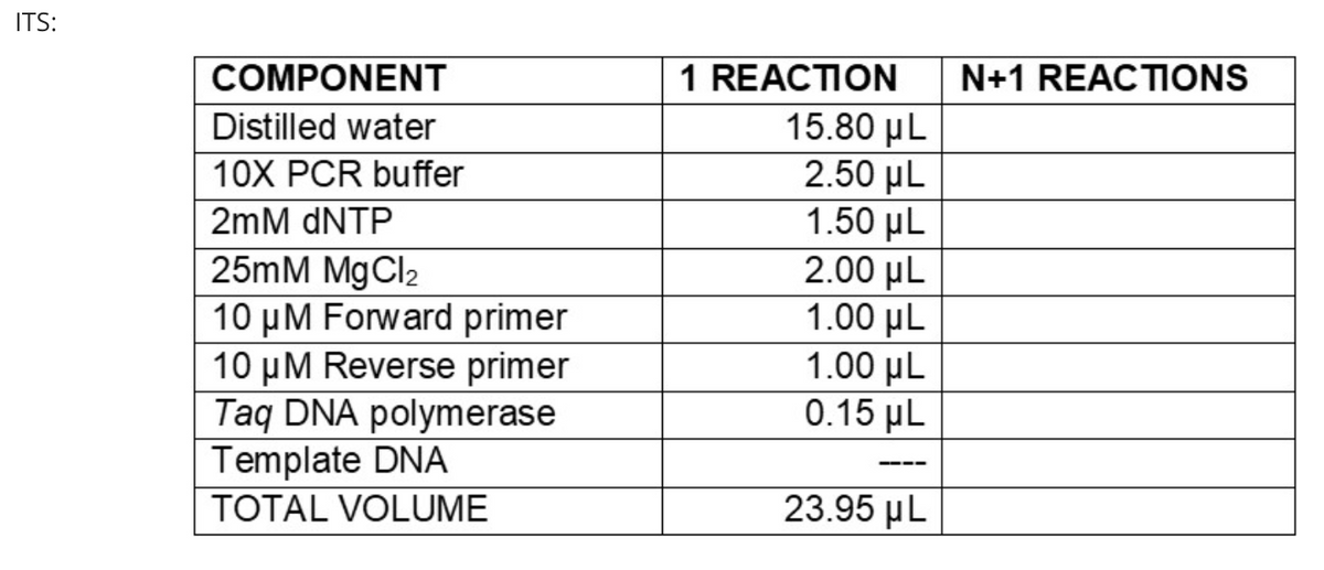 ITS:
COMPONENT
1 REACTION
N+1 REACTIONS
15.80 µL
2.50 μL
1.50 µL
2.00 µL
1.00 µL
1.00 µL
0.15 μL
Distilled water
10X PCR buffer
2mM DNTP
25mM MgCl2
10 µM Forward primer
10 µM Reverse primer
Taq DNA polymerase
Template DNA
----
TOTAL VOLUME
23.95 µL
