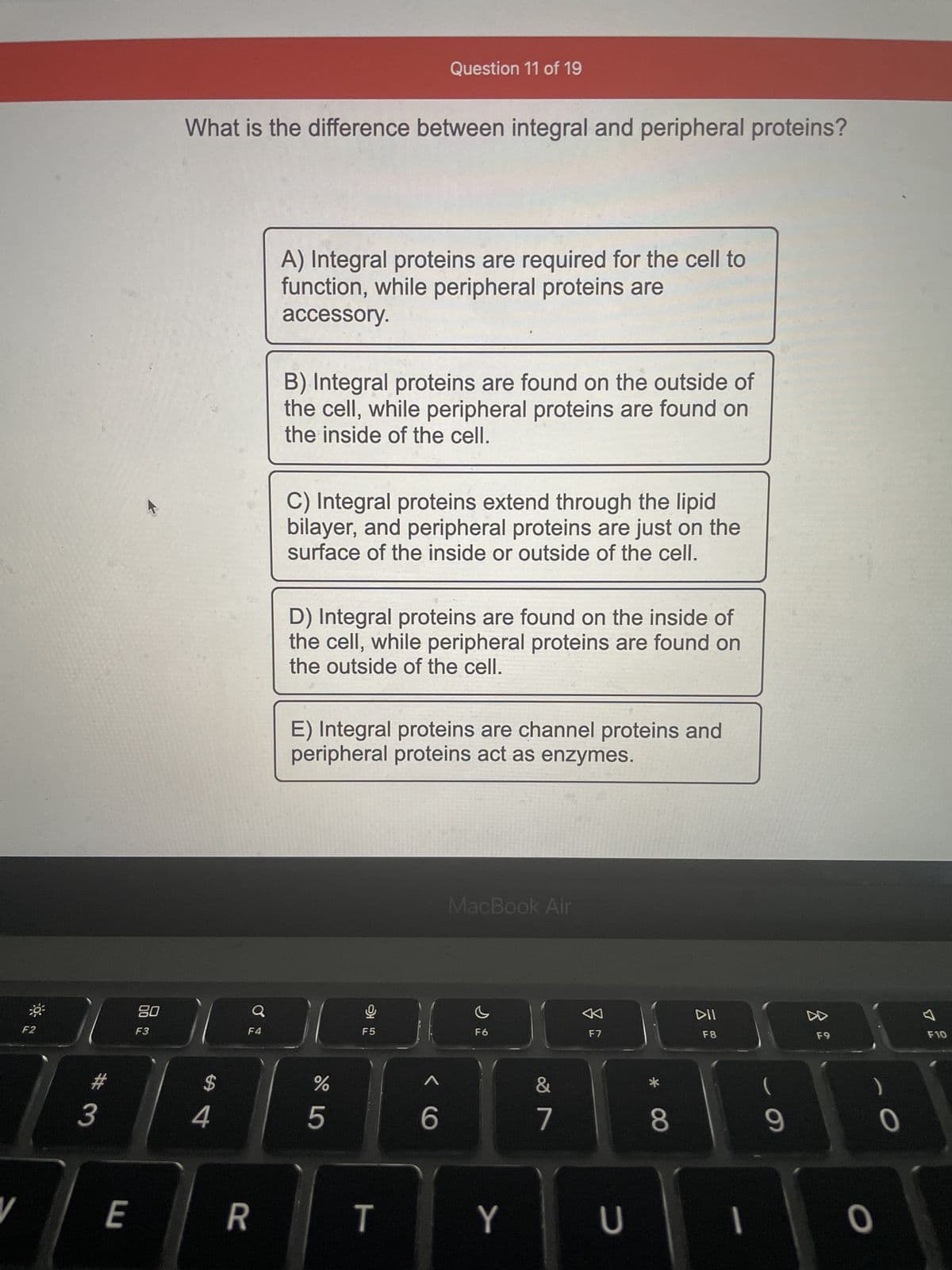 V
F2
# 3
E
80
F3
What is the difference between integral and peripheral proteins?
$
4
F4
R
A) Integral proteins are required for the cell to
function, while peripheral proteins are
accessory.
B) Integral proteins are found on the outside of
the cell, while peripheral proteins are found on
the inside of the cell.
C) Integral proteins extend through the lipid
bilayer, and peripheral proteins are just on the
surface of the inside or outside of the cell.
Question 11 of 19
D) Integral proteins are found on the inside of
the cell, while peripheral proteins are found on
the outside of the cell.
E) Integral proteins are channel proteins and
peripheral proteins act as enzymes.
%
5
F5
T
<6
MacBook Air
F6
Y
&
7
♡
F7
U
*
8
DII
F8
1
(
-
9
F9
0
O
F10