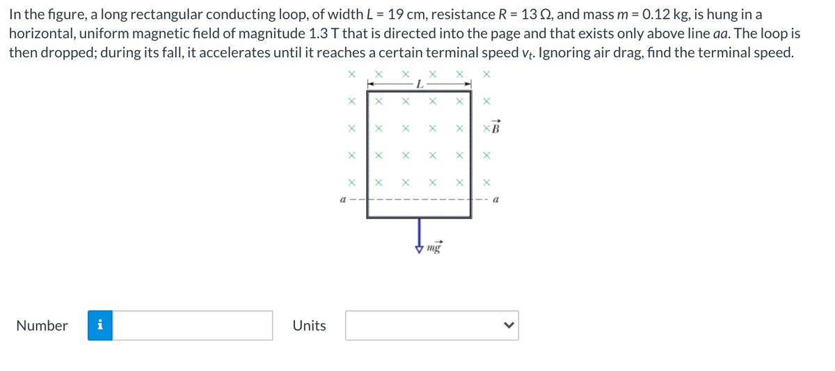 In the figure, a long rectangular conducting loop, of width L = 19 cm, resistance R = 13 Q, and mass m = 0.12 kg, is hung in a
horizontal, uniform magnetic field of magnitude 1.3 T that is directed into the page and that exists only above line aa. The loop is
then dropped; during its fall, it accelerates until it reaches a certain terminal speed vț. Ignoring air drag, find the terminal speed.
%3D
a
V mg
Number
i
Units
