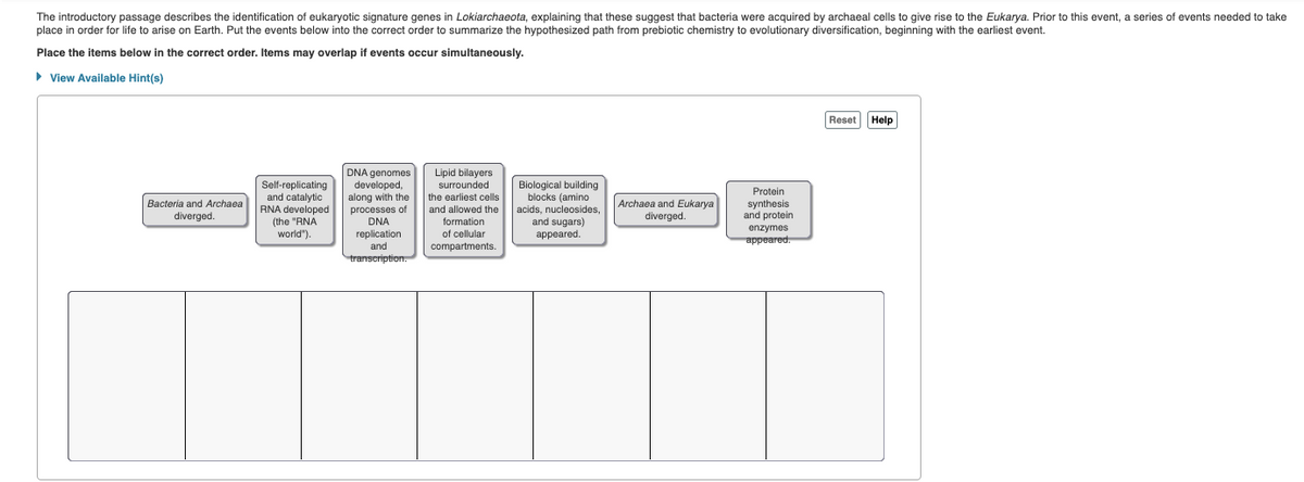 The introductory passage describes the identification of eukaryotic signature genes in Lokiarchaeota, explaining that these suggest that bacteria were acquired by archaeal cells to give rise to the Eukarya. Prior to this event, a series of events needed to take
place in order for life to arise on Earth. Put the events below into the correct order to summarize the hypothesized path from prebiotic chemistry to evolutionary diversification, beginning with the earliest event.
Place the items below in the correct order. Items may overlap if events occur simultaneously.
► View Available Hint(s)
Bacteria and Archaea
diverged.
Self-replicating
and catalytic
RNA developed
(the "RNA
world").
DNA genomes
developed,
along with the
processes of
DNA
replication
and
transcription.
Lipid bilayers
surrounded
the earliest cells
and allowed the
formation
of cellular
compartments.
Biological building
blocks (amino
acids, nucleosides,
and sugars)
appeared.
Archaea and Eukarya
diverged.
Protein
synthesis
and protein
enzymes
appeared.
Reset
Help