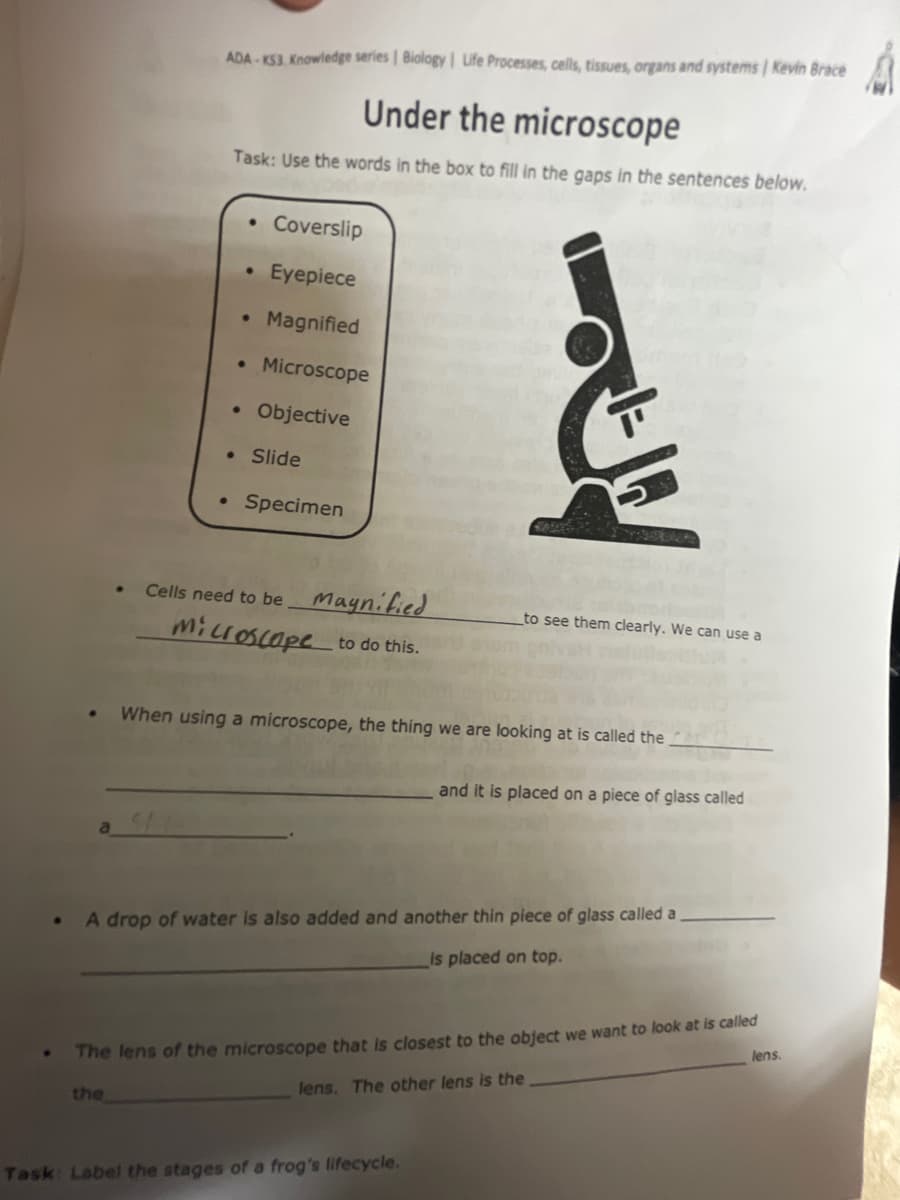 .
.
ADA-KS3. Knowledge series | Biology | Life Processes, cells, tissues, organs and systems | Kevin Brace
Under the microscope
Task: Use the words in the box to fill in the gaps in the sentences below.
Coverslip
Eyepiece
• Magnified
● Microscope
Objective
. Slide
Specimen
Cells need to be Magnified
Microscope to do this.
Det
to see them clearly. We can use a
When using a microscope, the thing we are looking at is called the
Task: Label the stages of a frog's lifecycle.
and it is placed on a piece of glass called
A drop of water is also added and another thin piece of glass called a
is placed on top.
The lens of the microscope that is closest to the object we want to look at is called
the
lens. The other lens is the
lens.