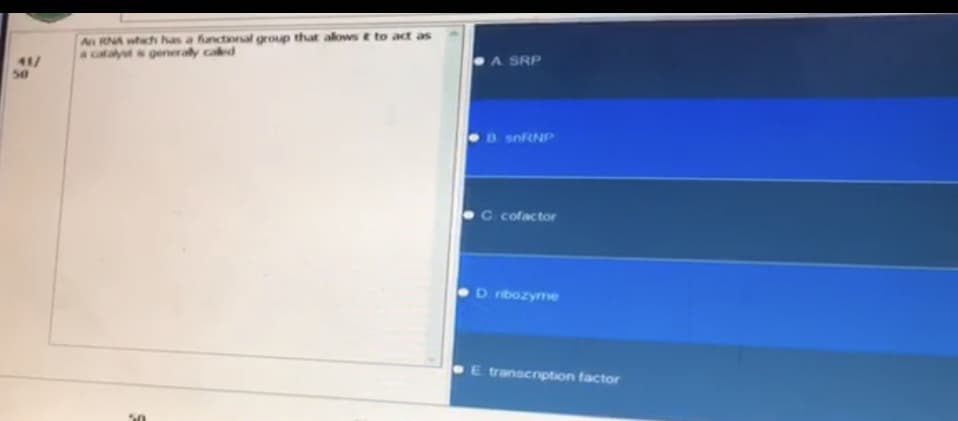41/
50
An RNA which has a functional group that allows & to act as
a catalysts generaly called
50
A SRP
B snRNP
C. cofactor
D ribozyme
transcription factor
