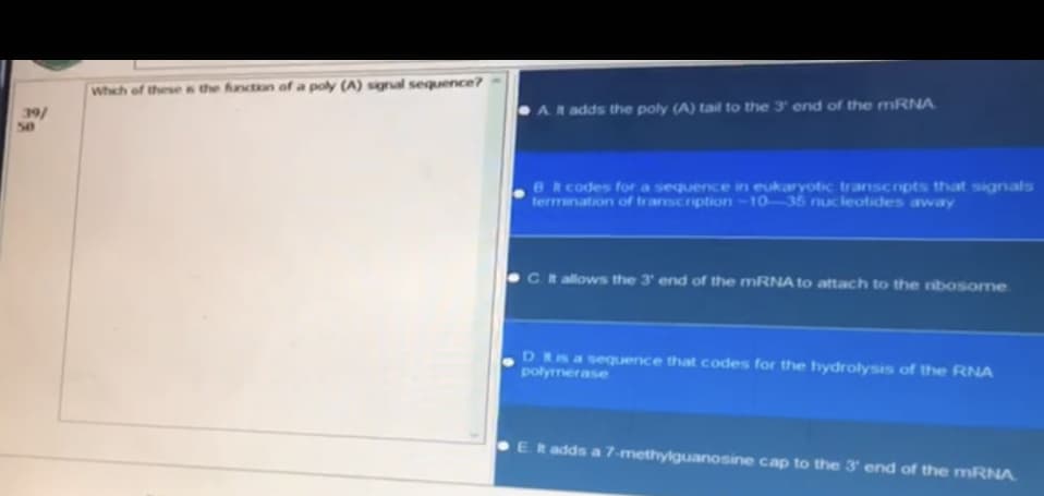 39/
50
Which of these is the function of a poly (A) signal sequence?
A. It adds the poly (A) tail to the 3' end of the mRNA
B It codes for a sequence in eukaryotic transcripts that signals
termination of transcription-10-35 nucleotides away
C. It allows the 3' end of the mRNA to attach to the ribosome
DR is a sequence that codes for the hydrolysis of the RNA
polymerase
It adds a 7-methylguanosine cap to the 3' end of the mRNA