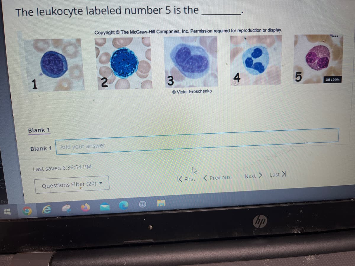 Pris
The leukocyte labeled number 5 is the
1
Blank 1
Copyright © The McGraw-Hill Companies, Inc. Permission required for reproduction or display.
Last saved 6:36:54 PM
2
Blank 1 Add your answer
Questions Filter (20) ▼
3
ⒸVictor Eroschenko
h
K First
< Previous
4
Next >
hp
Last >
5
LM 1200x