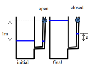 closed
оpen
Im
initial
final
