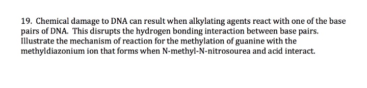 19. Chemical damage to DNA can result when alkylating agents react with one of the base
pairs of DNA. This disrupts the hydrogen bonding interaction between base pairs.
Illustrate the mechanism of reaction for the methylation of guanine with the
methyldiazonium ion that forms when N-methyl-N-nitrosourea and acid interact.
