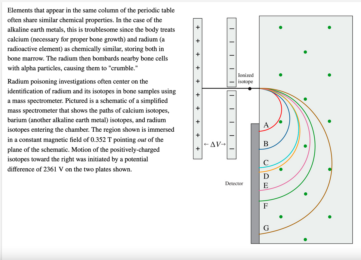 Elements that appear in the same column of the periodic table
often share similar chemical properties. In the case of the
alkaline earth metals, this is troublesome since the body treats
calcium (necessary for proper bone growth) and radium (a
radioactive element) as chemically similar, storing both in
bone marrow. The radium then bombards nearby bone cells
with alpha particles, causing them to "crumble."
Ionized
Radium poisoning investigations often center on the
identification of radium and its isotopes in bone samples using
isotope
a mass spectrometer. Pictured is a schematic of a simplified
mass spectrometer that shows the paths of calcium isotopes,
barium (another alkaline earth metal) isotopes, and radium
А
isotopes entering the chamber. The region shown is immersed
in a constant magnetic field of 0.352 T pointing out of the
+ AV→
В
plane of the schematic. Motion of the positively-charged
isotopes toward the right was initiated by a potential
difference of 2361 V on the two plates shown.
D
Detector
E
F
G
+
+
+
+
+
+
