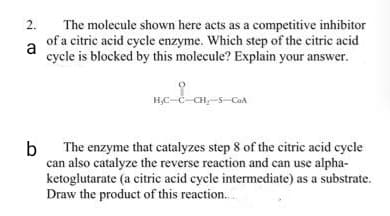 2.
The molecule shown here acts as a competitive inhibitor
of a citric acid cycle enzyme. Which step of the citric acid
cycle is blocked by this molecule? Explain your answer.
H,C-C-CH,-S- CaA
b The enzyme that catalyzes step 8 of the citric acid cycle
can also catalyze the reverse reaction and can use alpha-
ketoglutarate (a citric acid cycle intermediate) as a substrate.
Draw the product of this reaction.
