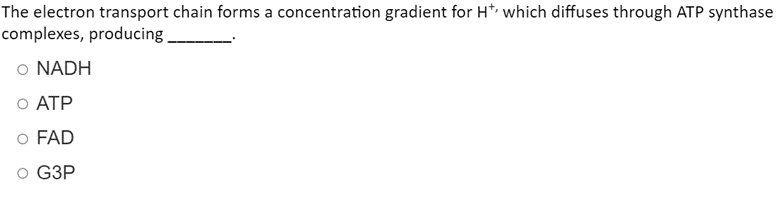 The electron transport chain forms a concentration gradient for H* which diffuses through ATP synthase
complexes, producing
o NADH
O ATP
o FAD
O G3P
